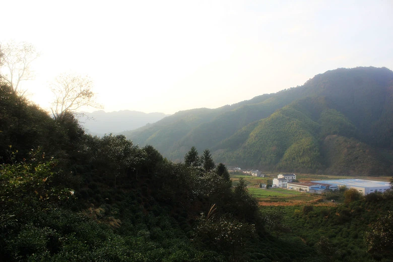 横行饶徽四十里  揽胜吴楚两源头
