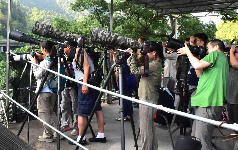 7月16日，摄影爱好者在江西省婺源县江湾镇晓起村村民余志标家的楼顶上拍摄鸟类。 新华社记者 梅永存 摄