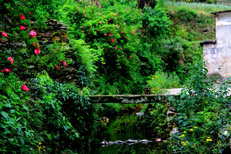 (原创)婺源坑头古桥 - 柳子 - 橙柳子的摄影博客