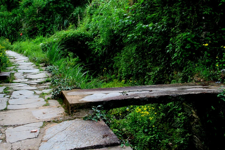 (原创)婺源坑头古桥 - 柳子 - 橙柳子的摄影博客