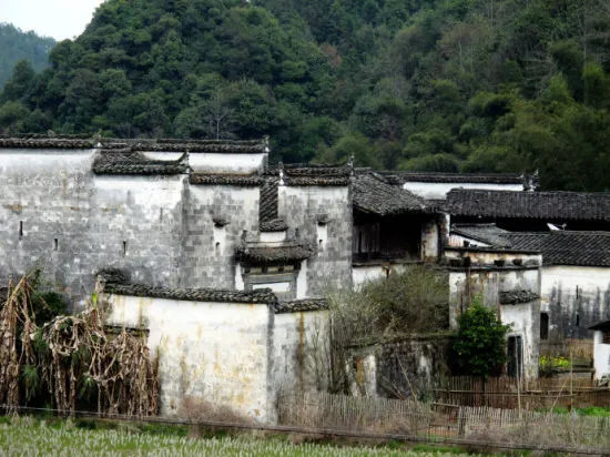 西冲村 西冲村