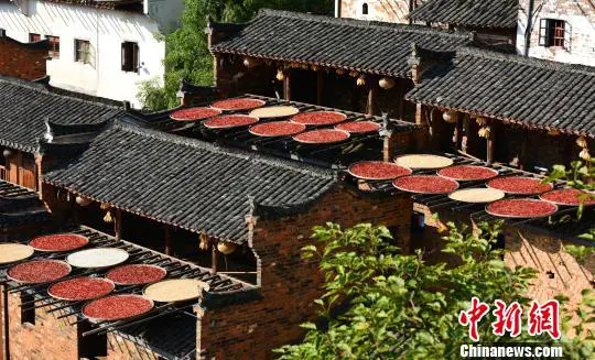 徽式民居外墙的晒架上,圆圆晒匾里晾晒着五彩缤纷的丰收果实。 胡敦煌 摄