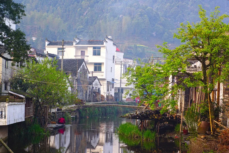 婺源官坑,油菜花海里隐藏的绝美古村